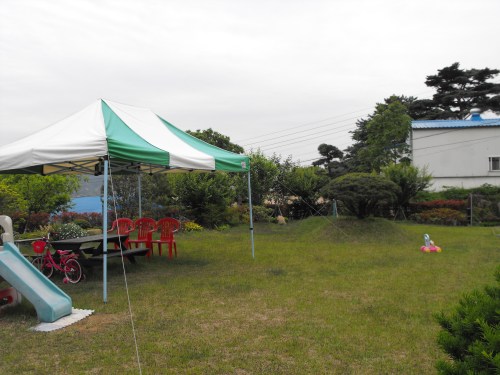 The lawn in front of the in-laws' house is nice, but our little guy needs a lot more space than just this.