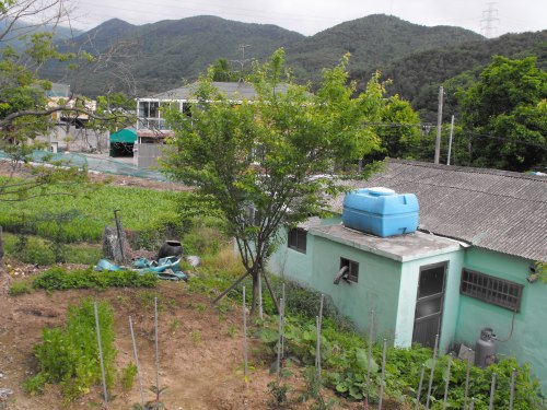 View from my primary smoking spot #1