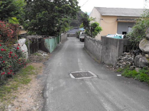 After we're finished visiting the dog, the cows and the rice paddies, Ian and I head up this little lane that leads to the house. It also has storm sewer grates, which means Ian has more little rocks to drop.